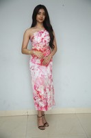 Preethi Pagadala Gallery